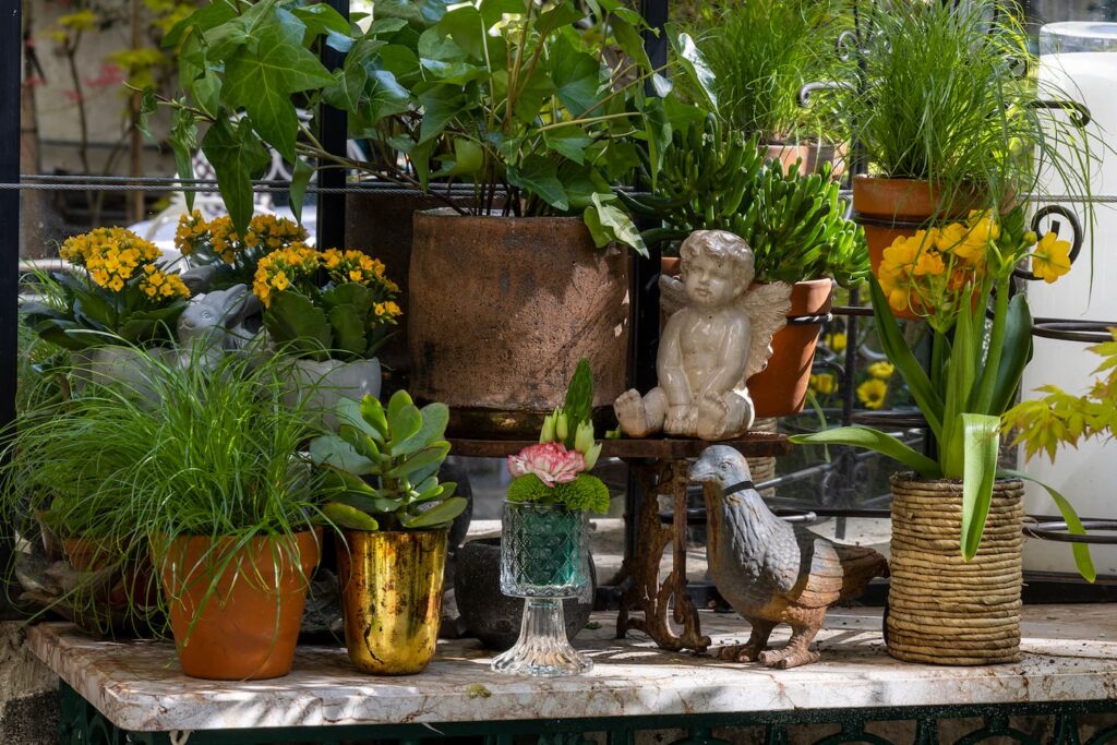 plants, details of decorations in the garden of a Paris hotel 6th arrondissement - hotel des marronniers