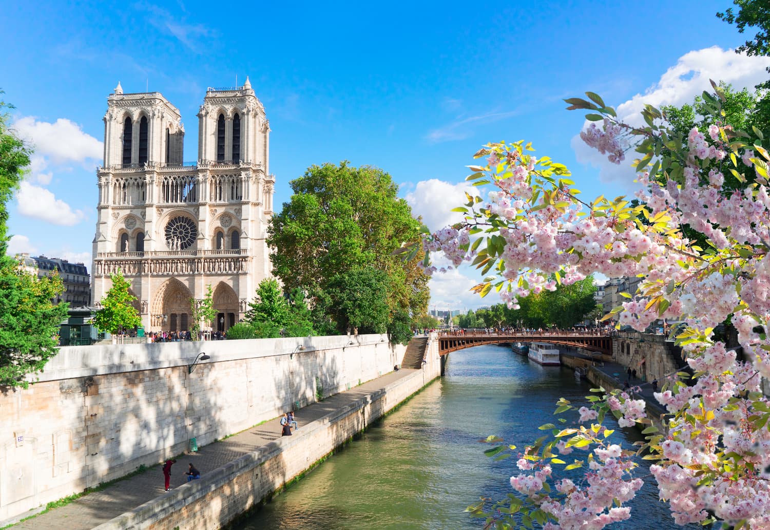 Notre dame cathedral and seine river - Paris hotel near Louvre- hotel des marronniers