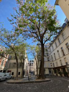 Passer les vacances d'été à Paris Centre