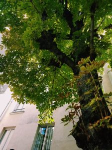 Where to find reviews of hotels in Paris Center